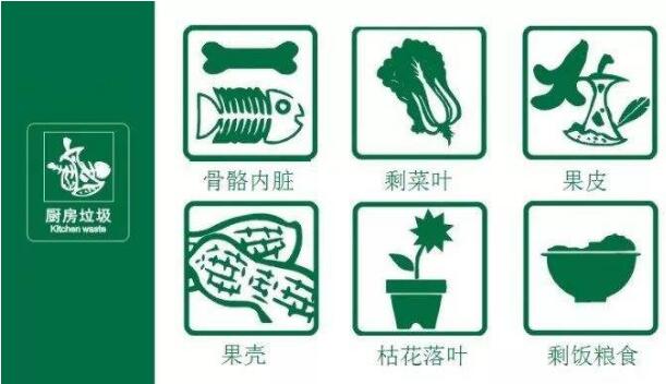 餐廚垃圾分類.